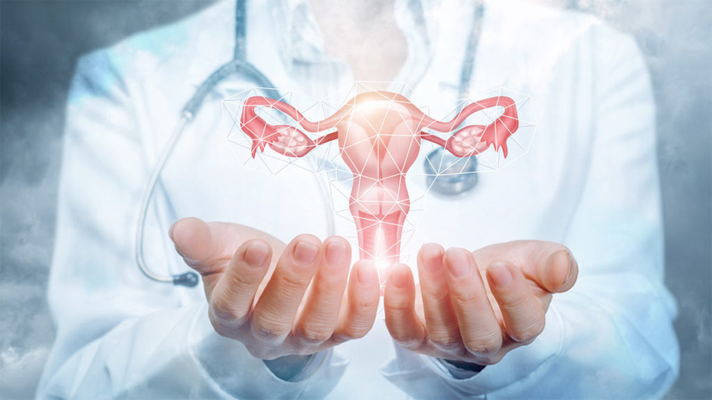 imagem que representa Transplantes de útero